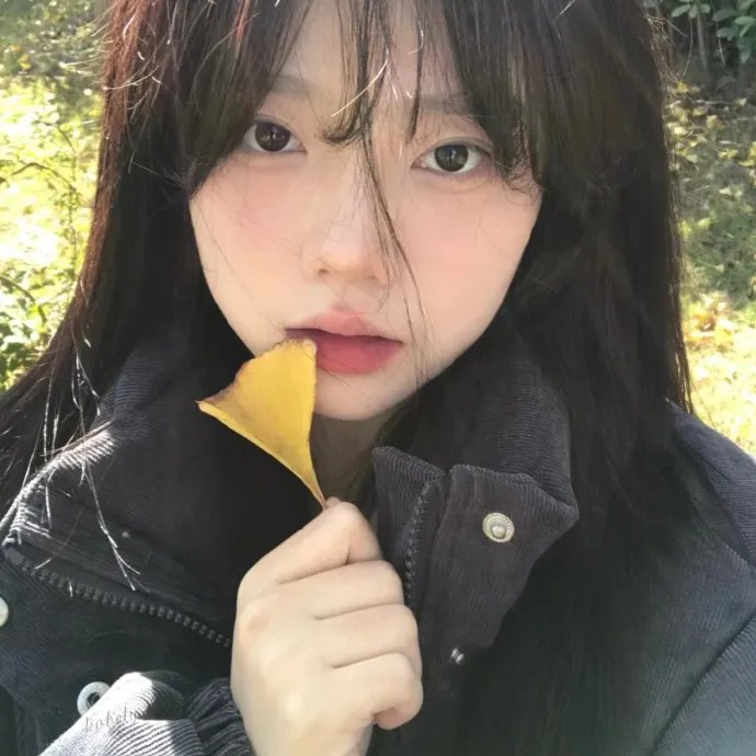 灵域第二季