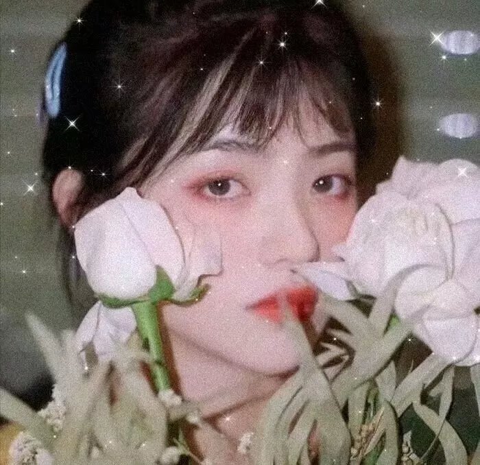 元首的面孔